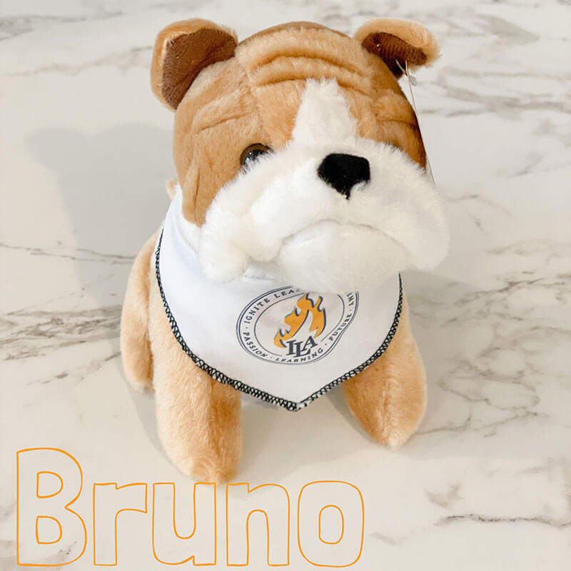Bruno-with-words-optimized image Bruno-with-words-optimized.jpg