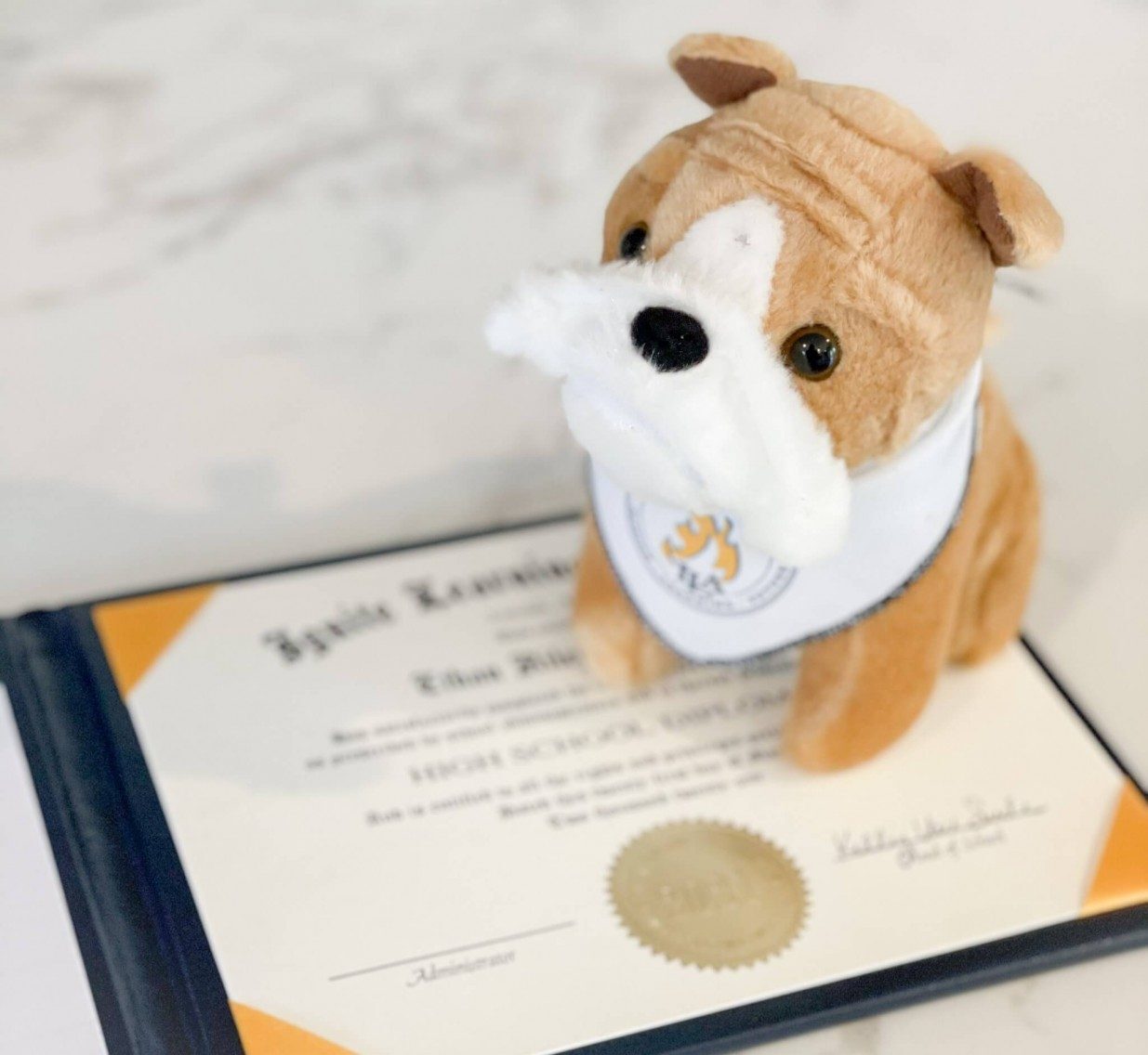 online school for high school