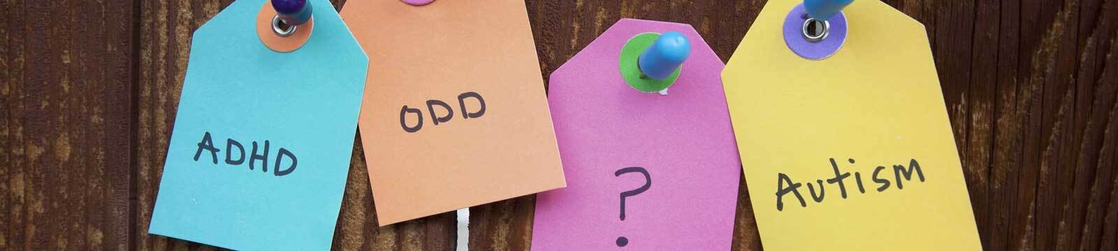 Ignite Learning Academy Special Services