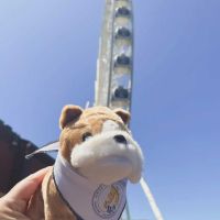 210023156_360582545498938_1295237325799842969_n