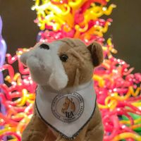 236118997_381172580106601_7177790461622964701_n