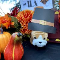 278287532_534689721421552_522284939013064007_n