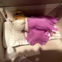 278334092_534689804754877_5192264697005400551_n