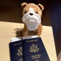 278433801_534689791421545_1889471082170711088_n