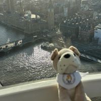 Man---Bruno-at-London-EYE-w-Big-Ben