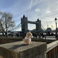 Man---Bruno-at-Tower-Bridge